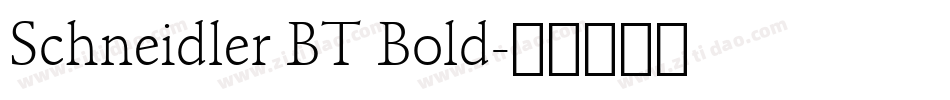 Schneidler BT Bold字体转换